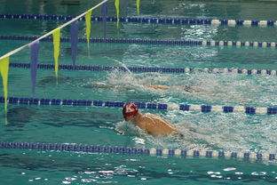 乐鱼体育在线下载-国际游泳精英赛中国队多人破纪录，国际游泳冠军系列赛