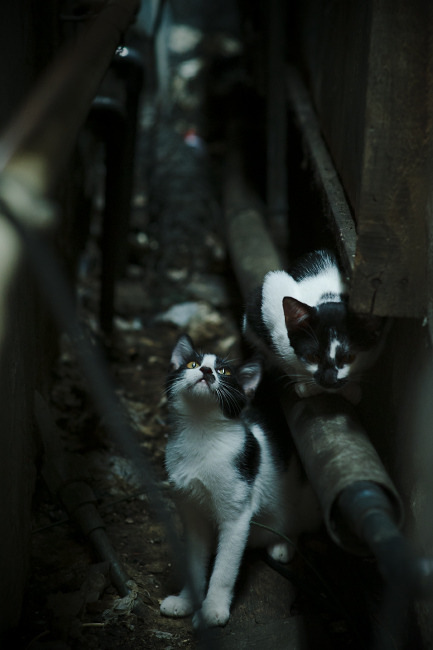 乐鱼体育app官网-国家队备战缺少科学训练方案，国家队备战缺少科学训练方案是什么