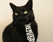 乐鱼体育在线官网-CBA常规赛收官广东稳居榜首，cba广东常规赛冠军