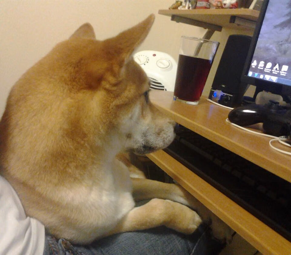 乐鱼体育app在线登录-C罗继续保持高效率状态延续火热表现，c罗这一举动